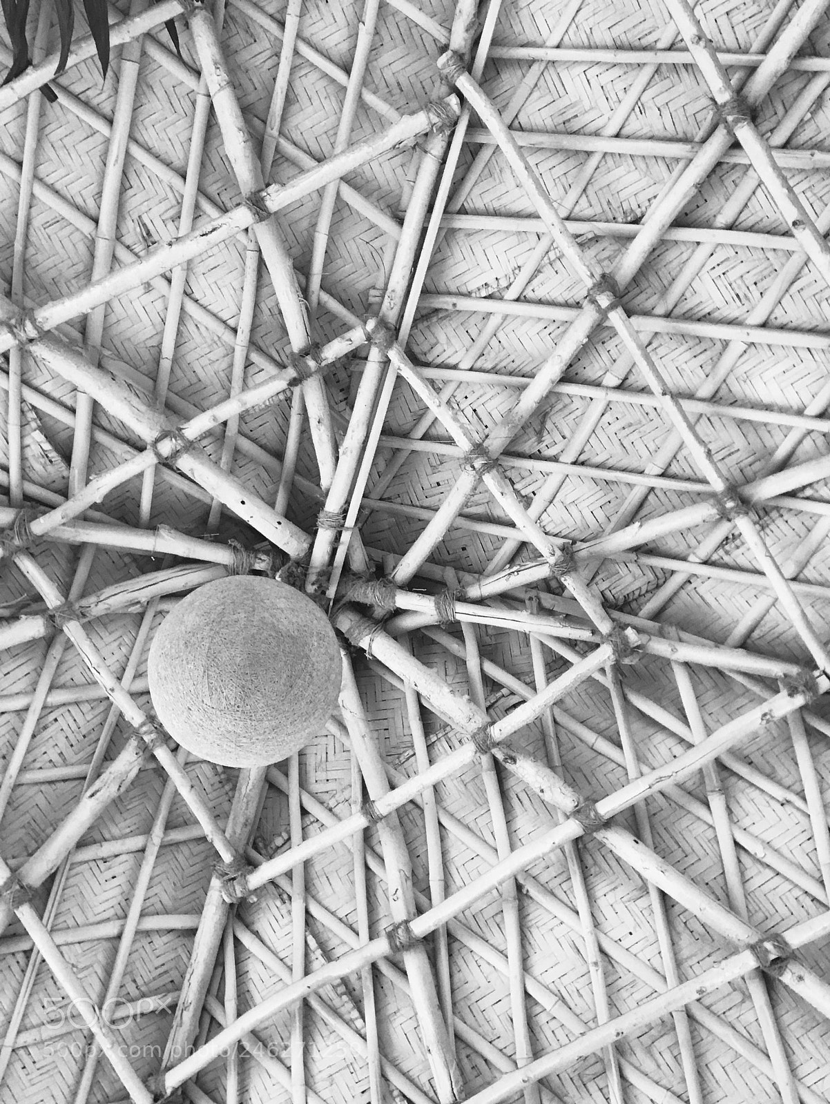 Apple iPhone 7 Plus sample photo. Abstract! photography