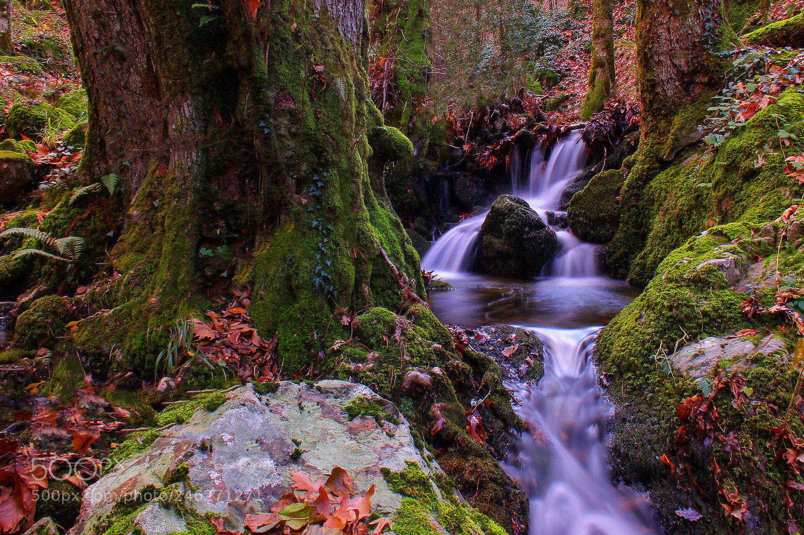 Canon EOS 60D sample photo. Waterfall photography