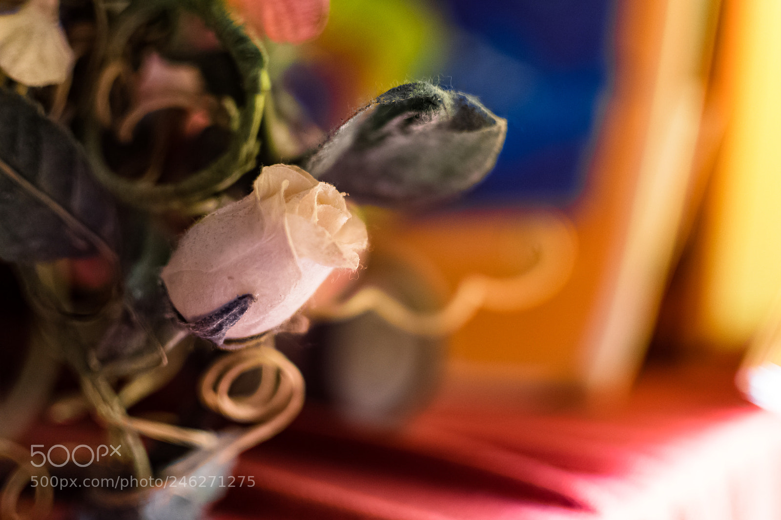 Nikon D500 sample photo. The art of color photography