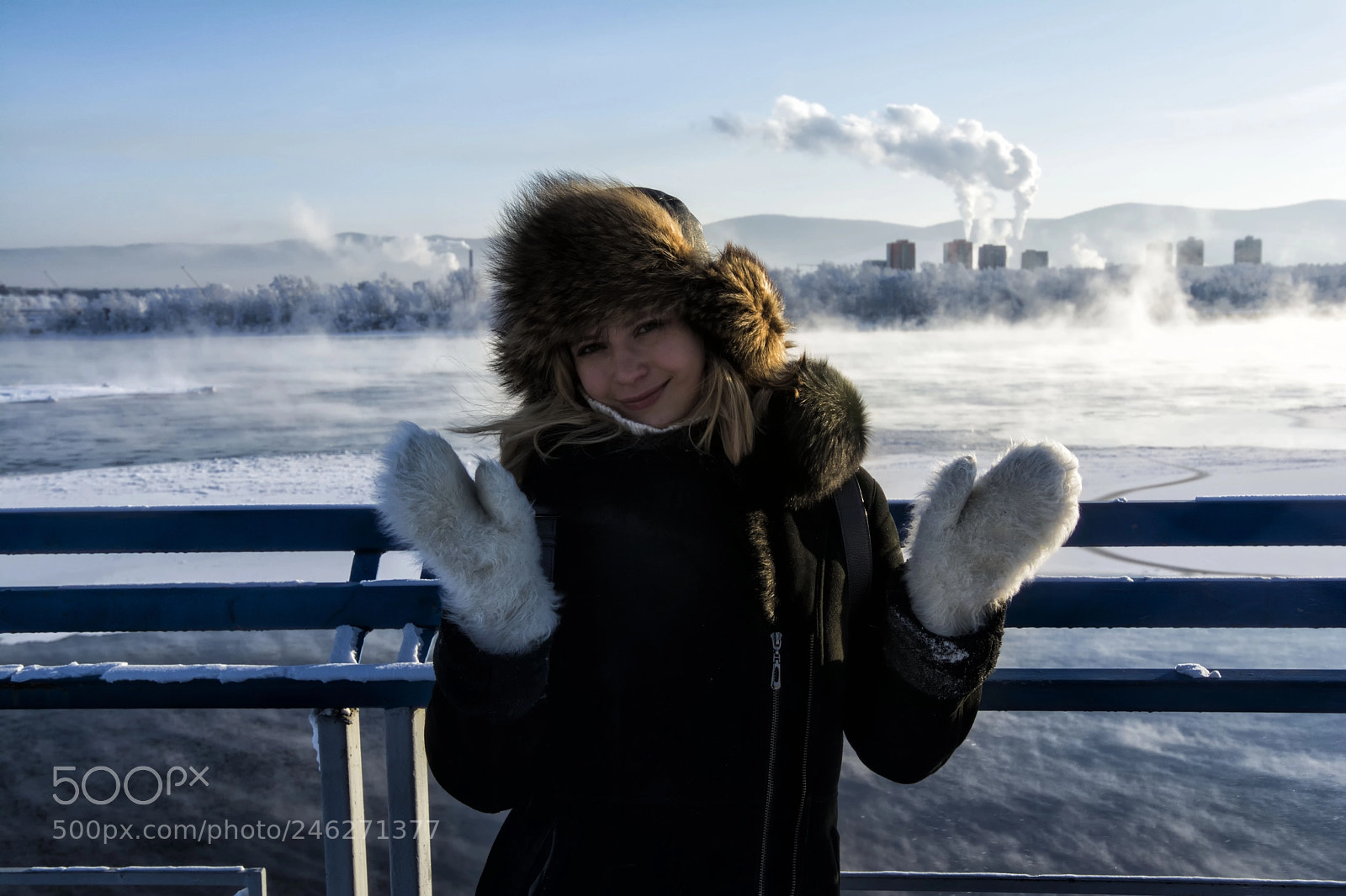 Nikon D5200 sample photo. Frozen day photography