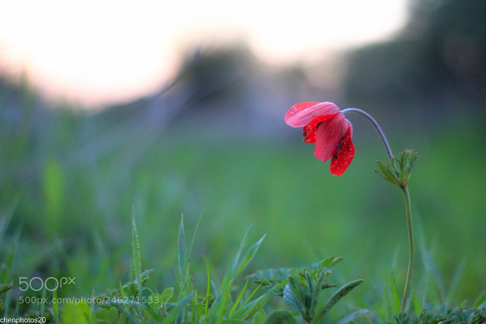 Canon EOS 60D sample photo. Untitled photography