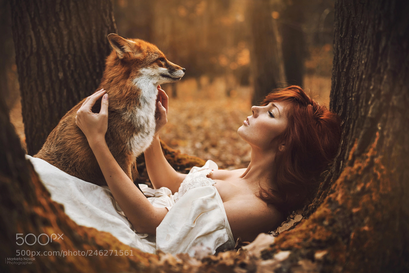 Nikon D610 sample photo. Redhead and fox... photography