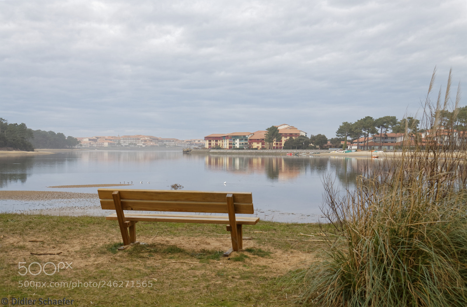 Canon EOS 50D sample photo. On a calm day photography