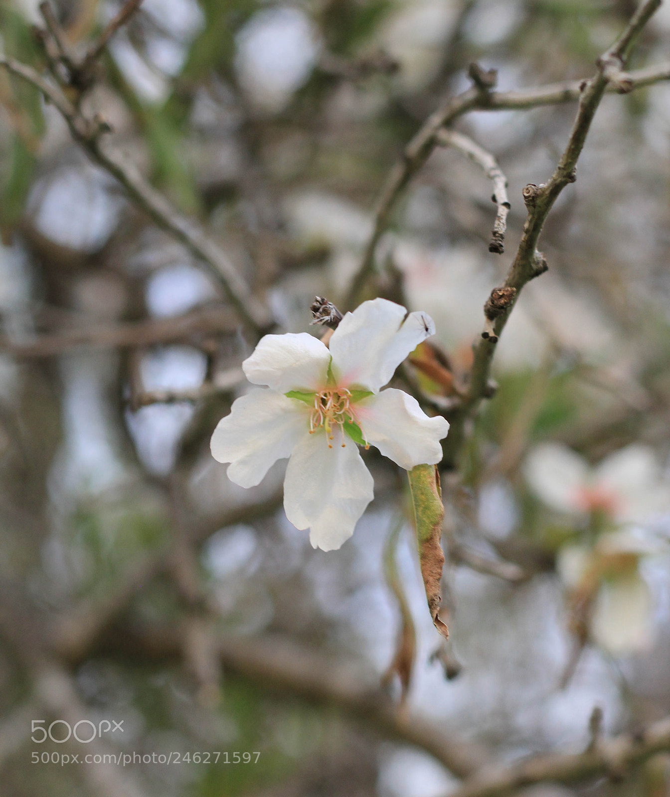 Canon EOS 60D sample photo. Untitled photography