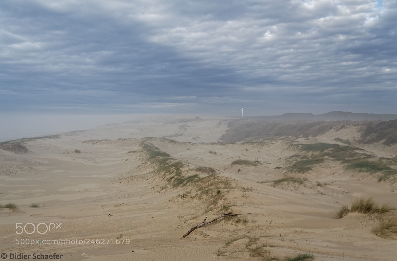 Canon EOS 50D sample photo. Mystical dunes photography