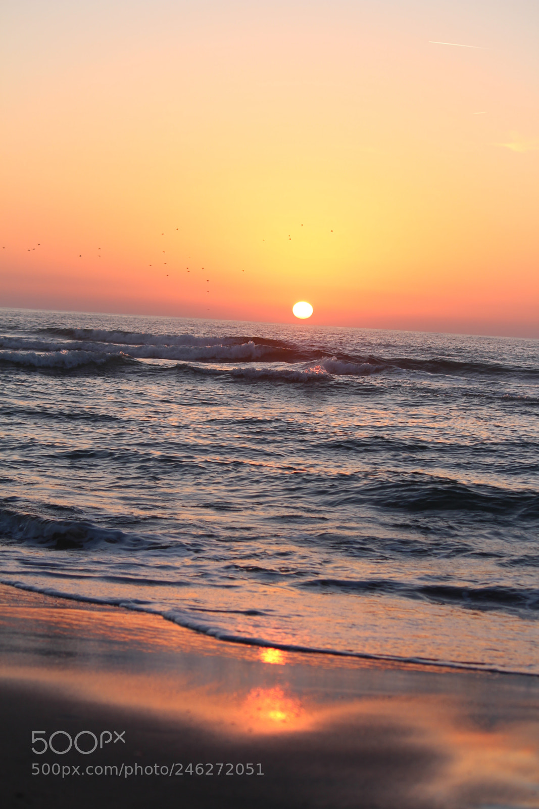 Canon EF-S 55-250mm F4-5.6 IS II sample photo. “sunset on the sea” photography