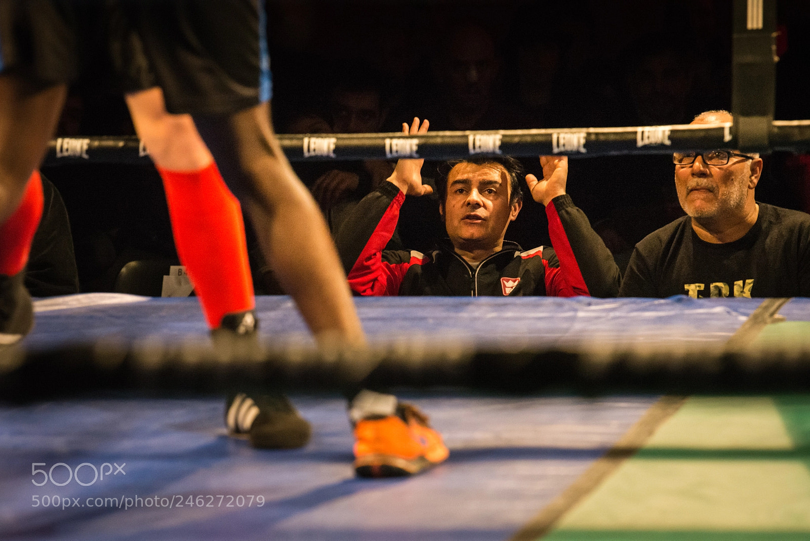 Nikon D600 sample photo. Boxer photography