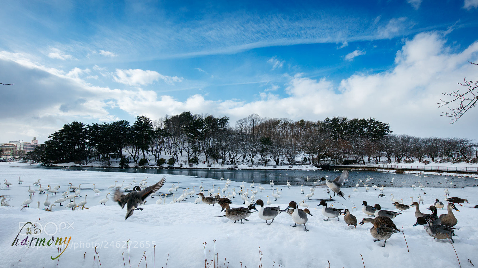 Canon EOS 5DS sample photo. Waiting for spring coming photography