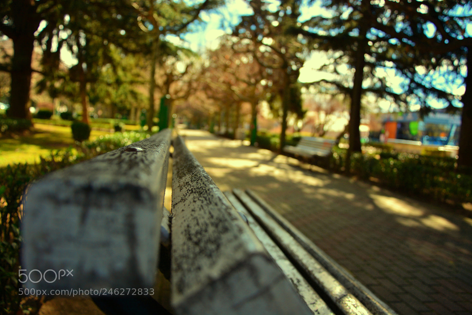 Nikon D7100 sample photo. Un paseo photography