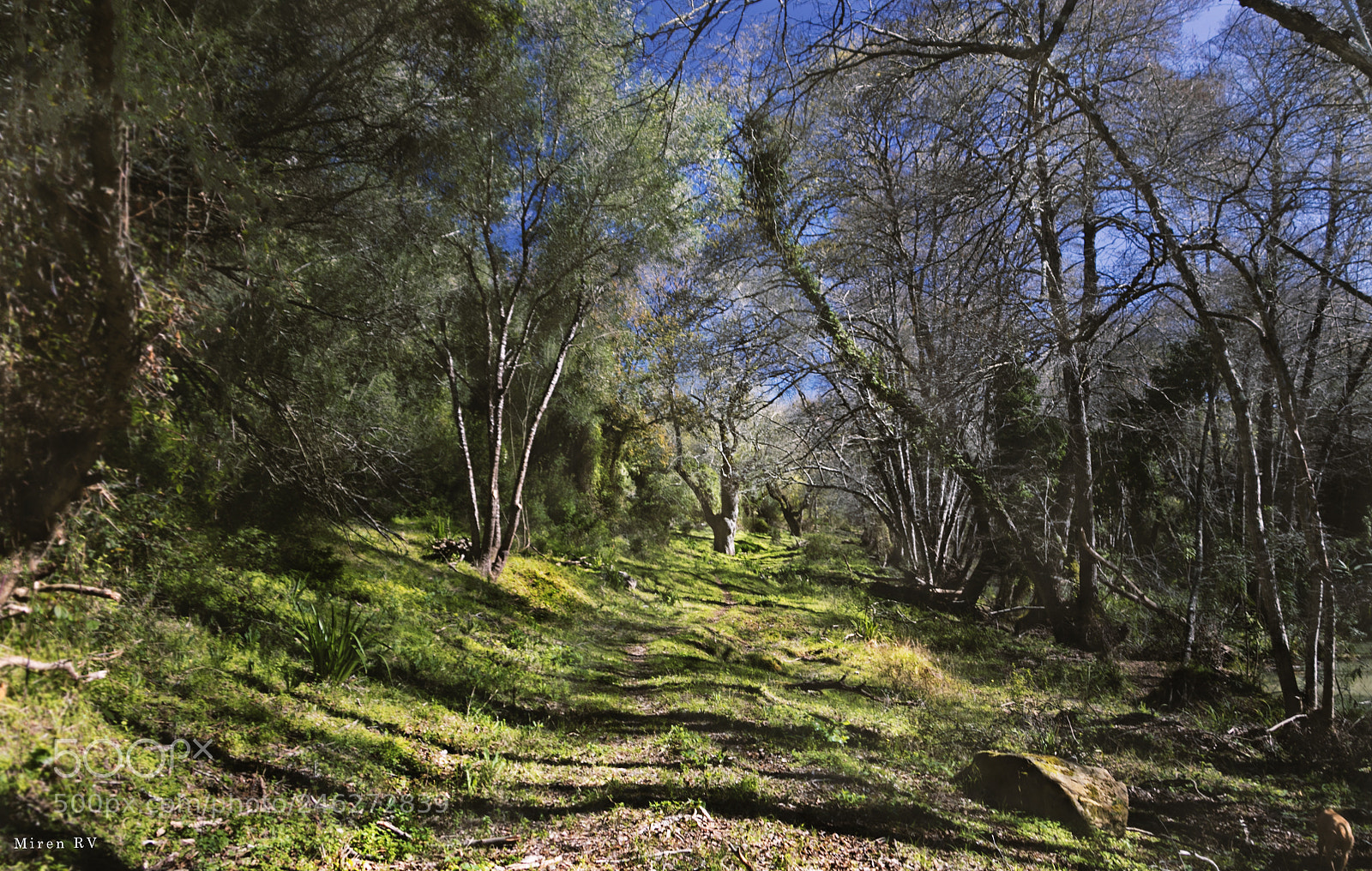 Canon EOS 7D Mark II sample photo. Déjame soñar photography