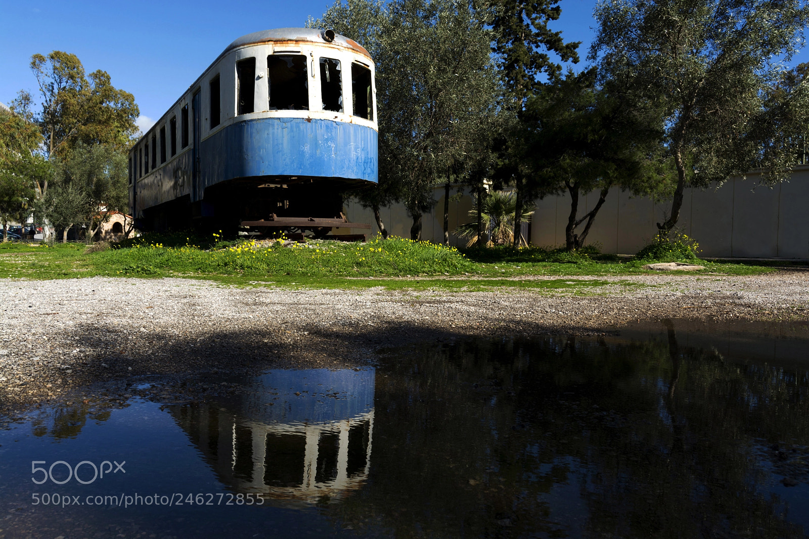 Nikon D5200 sample photo. After the rain photography