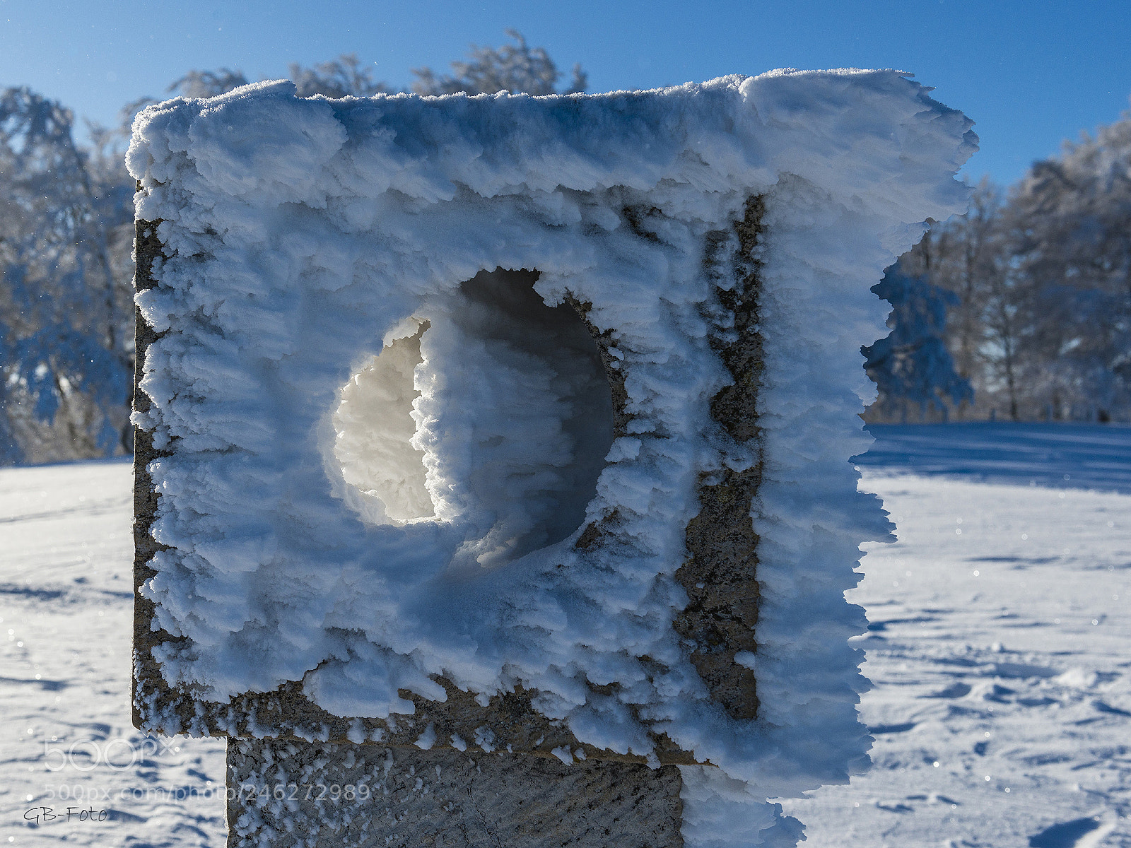 Nikon D800 sample photo. Frostige angelegenheit photography