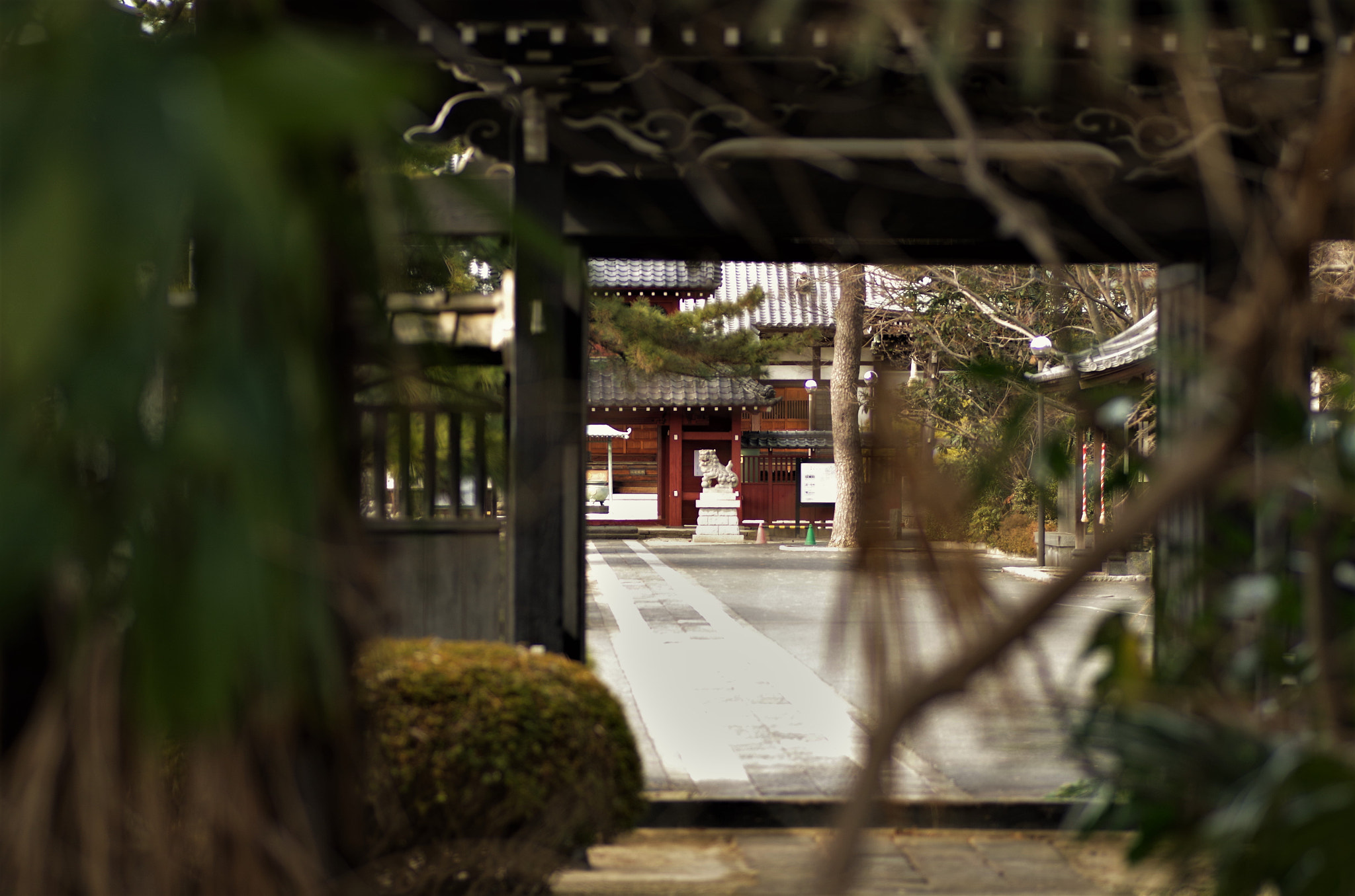 Pentax K-30 + Tamron SP AF 90mm F2.8 Di Macro sample photo. 天獄寺(埼玉県越谷市) photography