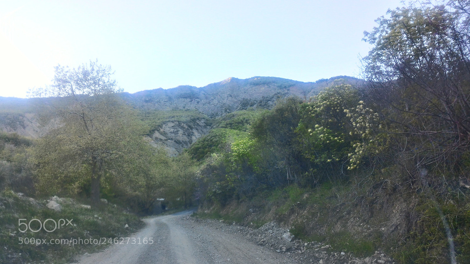 ASUS ZenFone 2 (ZE551ML) sample photo. Untitled photography