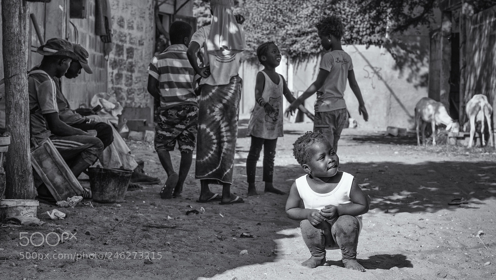 Nikon D800 sample photo. Village street life photography