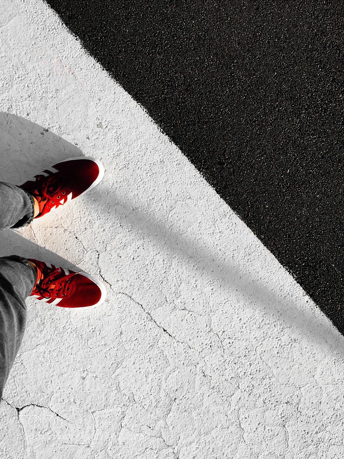 Apple iPhone 6 sample photo. Untitled photography
