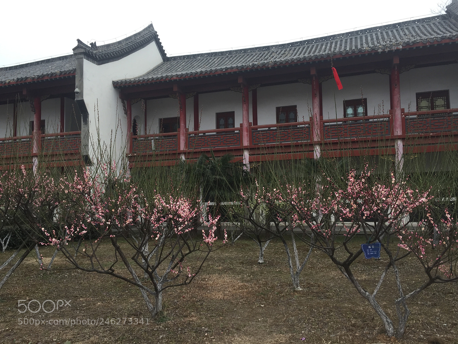 Apple iPhone 6 sample photo. Temple in china photography
