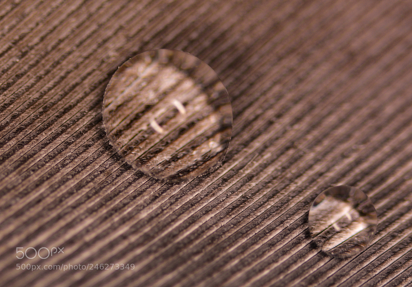 Nikon D5200 sample photo. Water droplets on a photography