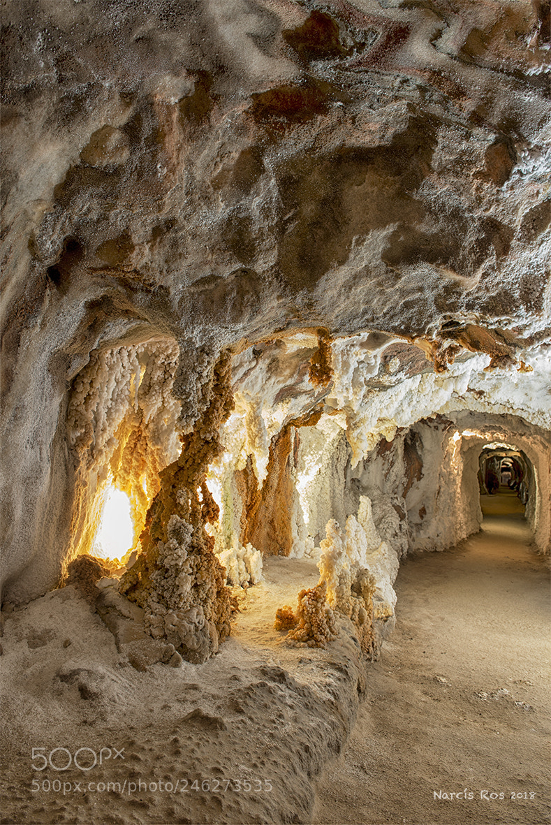 Nikon D610 sample photo. Salt mine 2 photography
