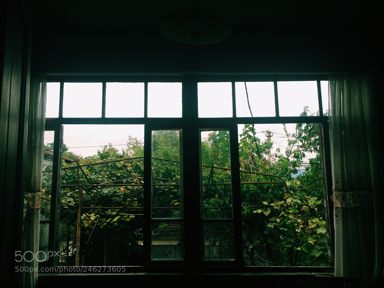 Apple iPhone 5s sample photo. Home viewing photography