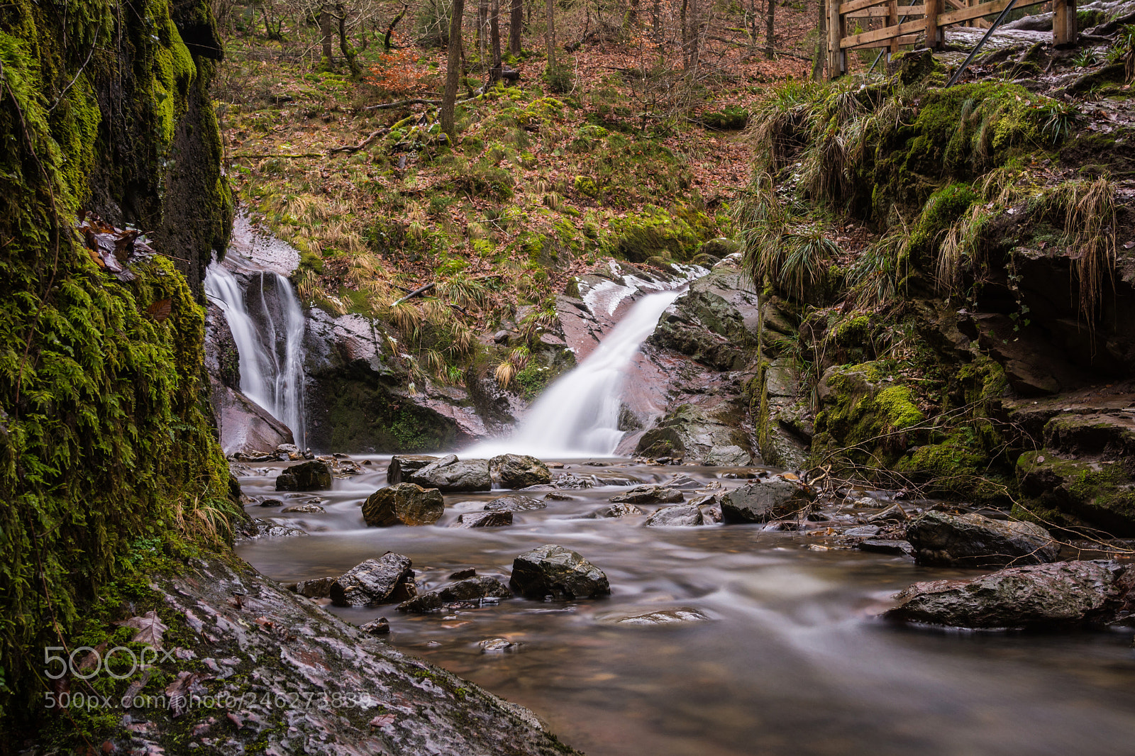 Nikon D7200 sample photo. Fab photography