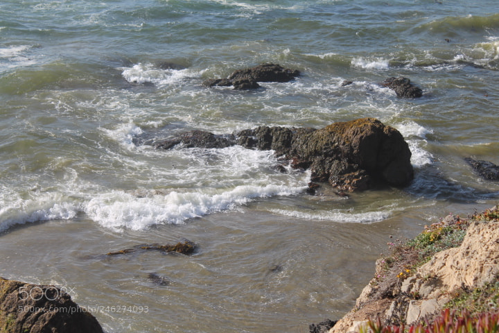 Canon EOS 1100D (EOS Rebel T3 / EOS Kiss X50) sample photo. Img photography