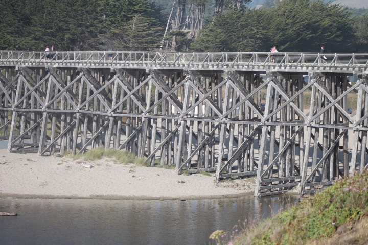 Canon EOS 1100D (EOS Rebel T3 / EOS Kiss X50) + EF75-300mm f/4-5.6 sample photo. Boardwalk bridge photography