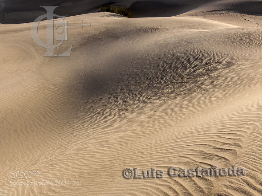 Panasonic DMC-FZ50 sample photo. Stovepipe wells sand dunes photography