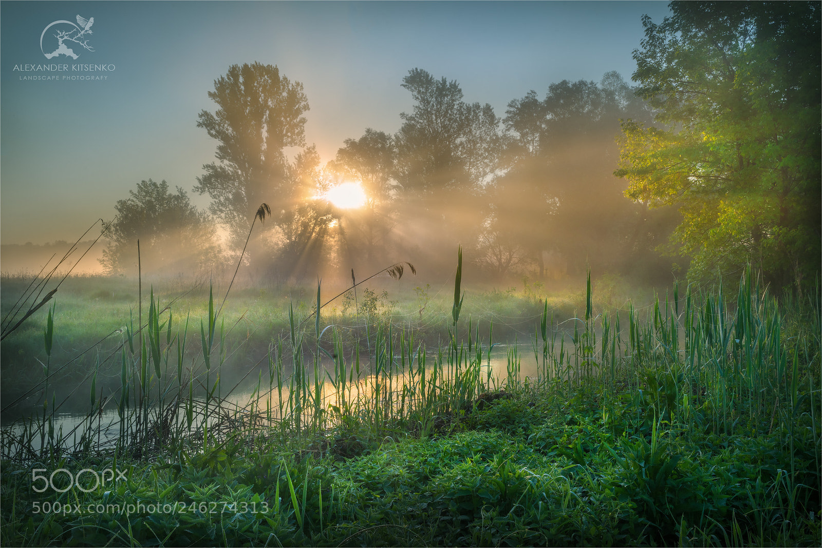 Sony a7R sample photo. Soon it will be photography