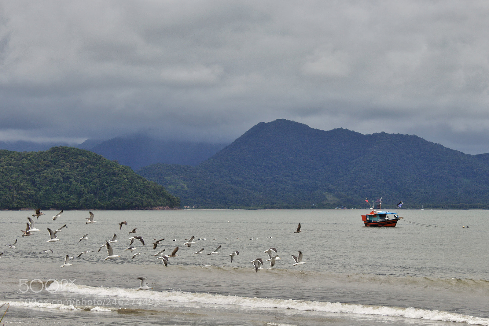 Canon EOS 1200D (EOS Rebel T5 / EOS Kiss X70 / EOS Hi) sample photo. Contemplando photography