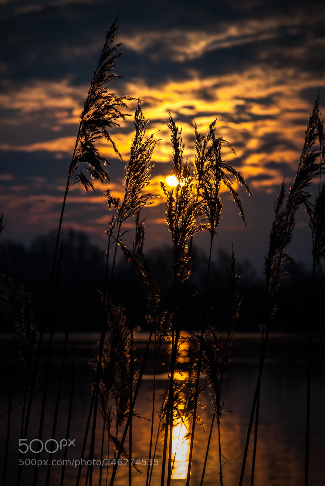 Nikon D200 sample photo. Sunrise photography