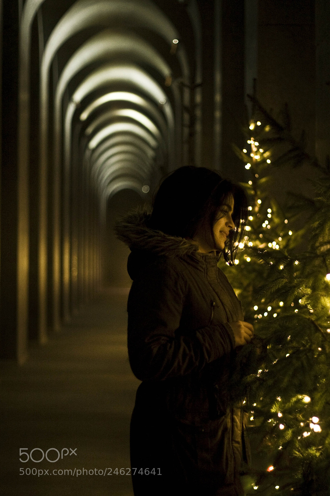 Canon EOS 30D sample photo. Christmas time photography
