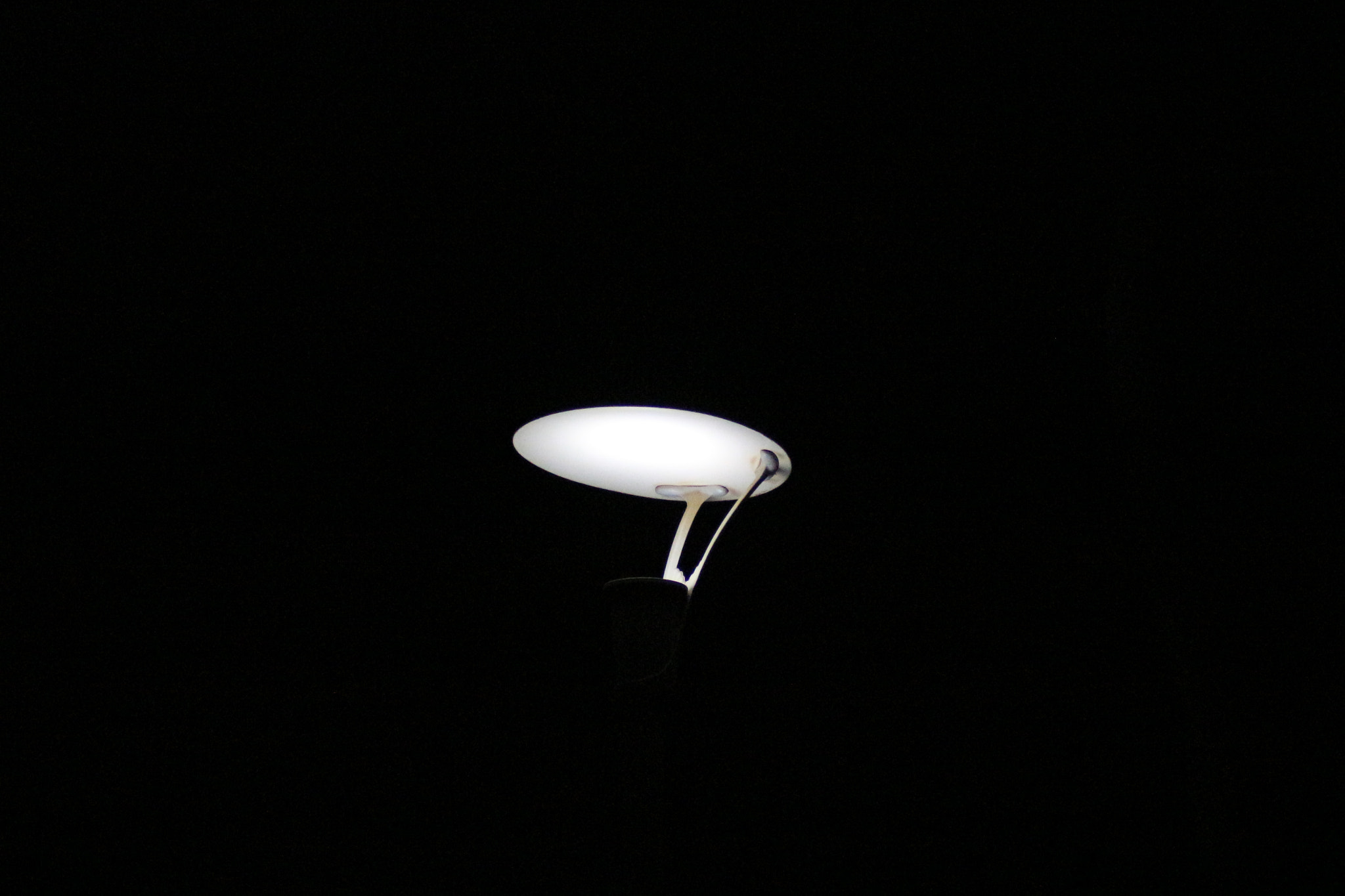 Canon EOS 700D (EOS Rebel T5i / EOS Kiss X7i) sample photo. Let there be light photography