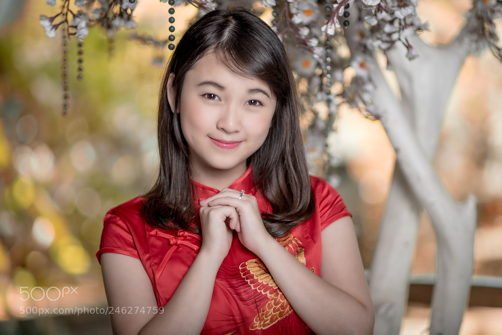 Nikon D810 sample photo. Elaine.... gong xi fa photography