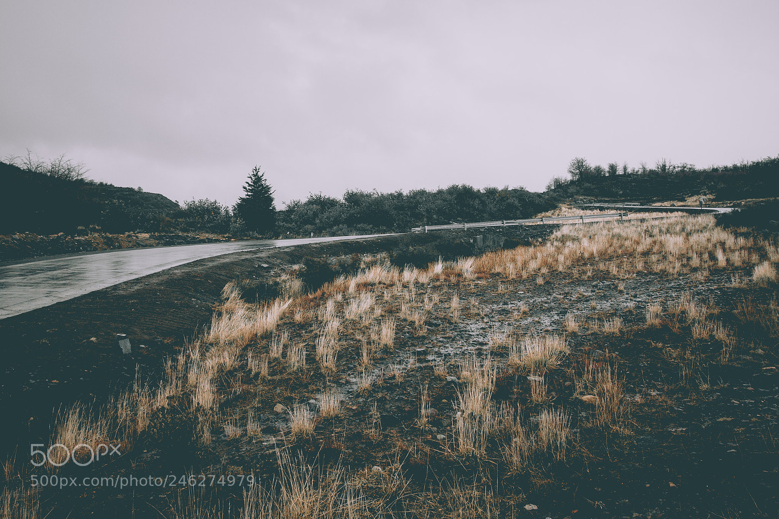 Canon EOS 40D sample photo. Al costado del camino photography