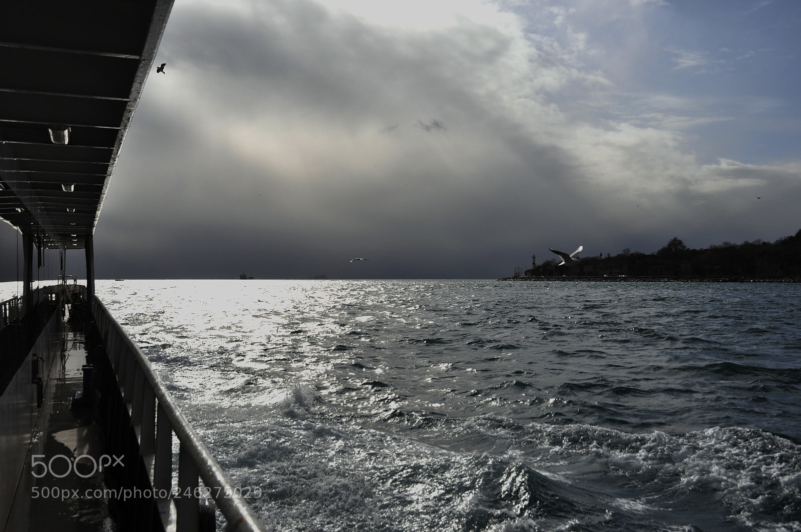 Nikon D90 sample photo. From storm towards the photography