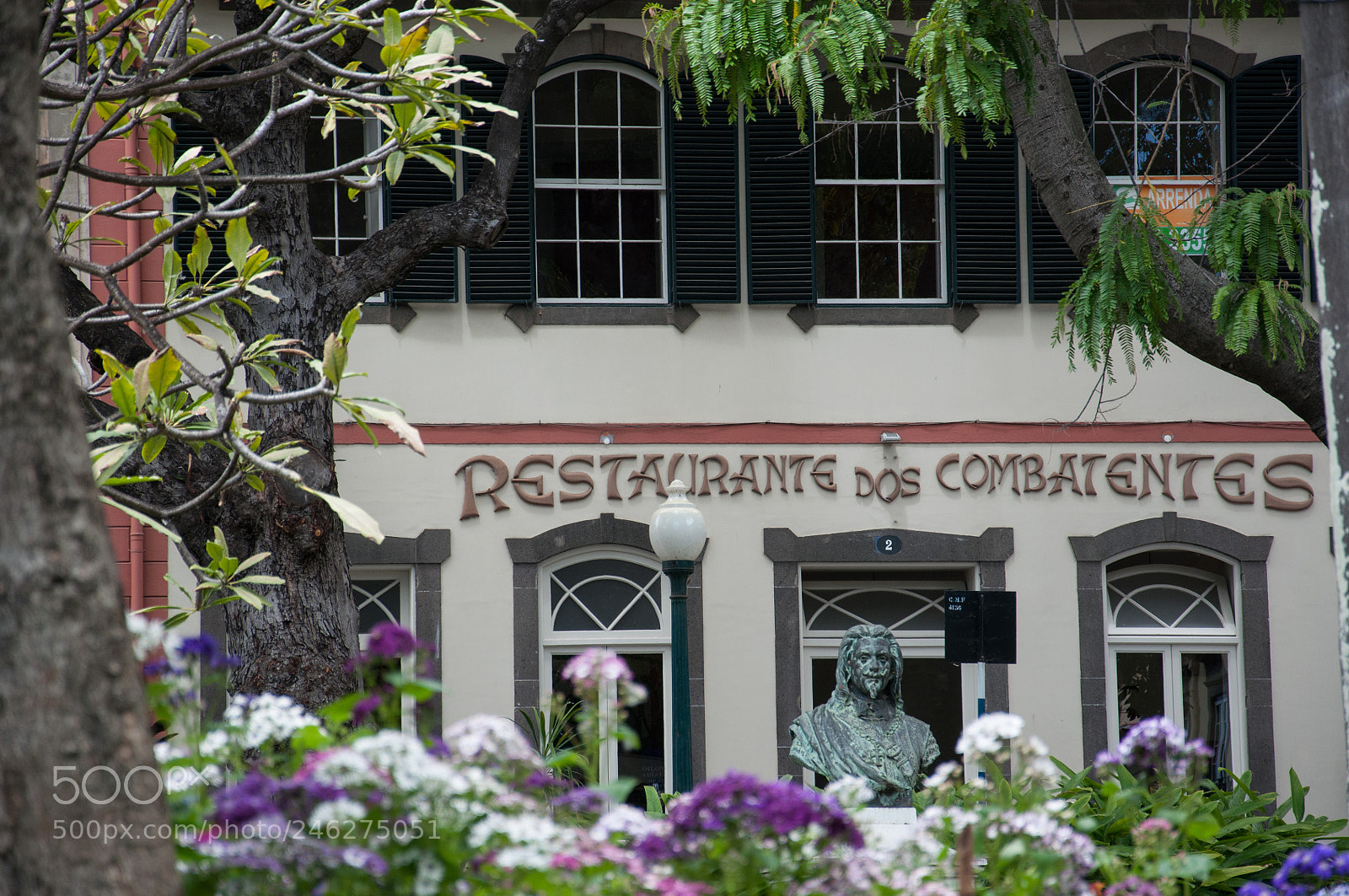 Nikon D5000 sample photo. Where combatants dine photography