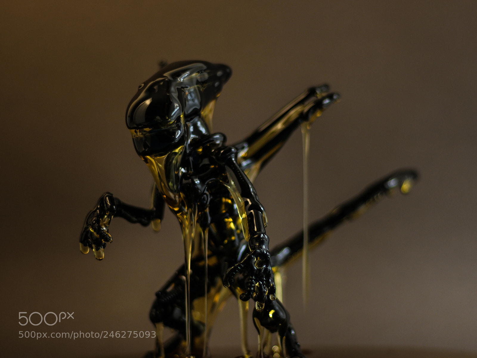 Canon EOS 700D (EOS Rebel T5i / EOS Kiss X7i) sample photo. Gold monster photography