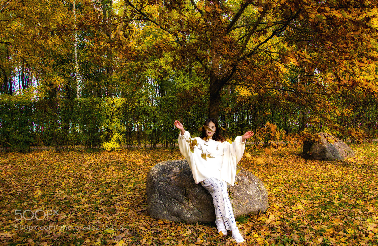 Nikon D5200 sample photo. 落英 photography