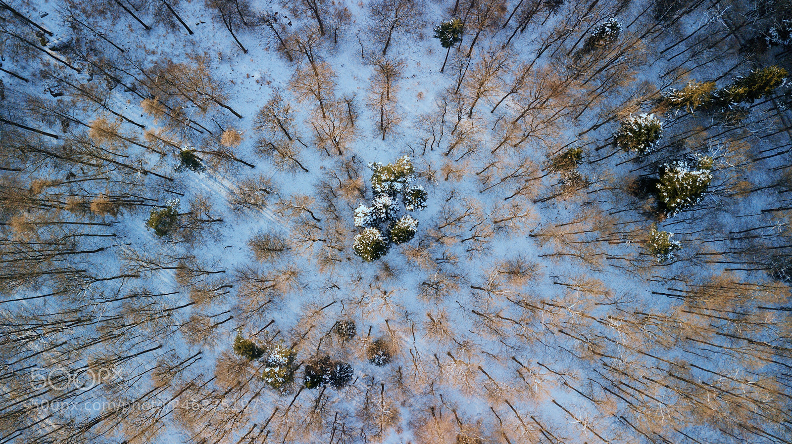 DJI FC220 sample photo. View over palatinate forest. photography