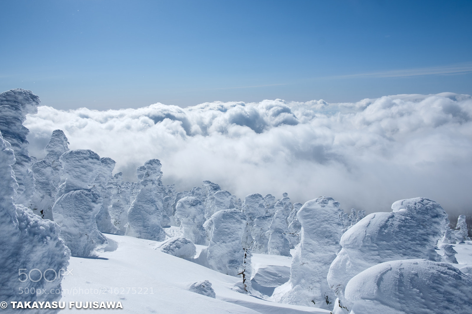 Fujifilm X-T20 sample photo. Snow monster photography