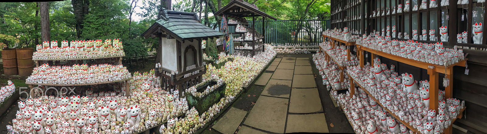 Apple iPhone 6s sample photo. The cats of gotokuji photography