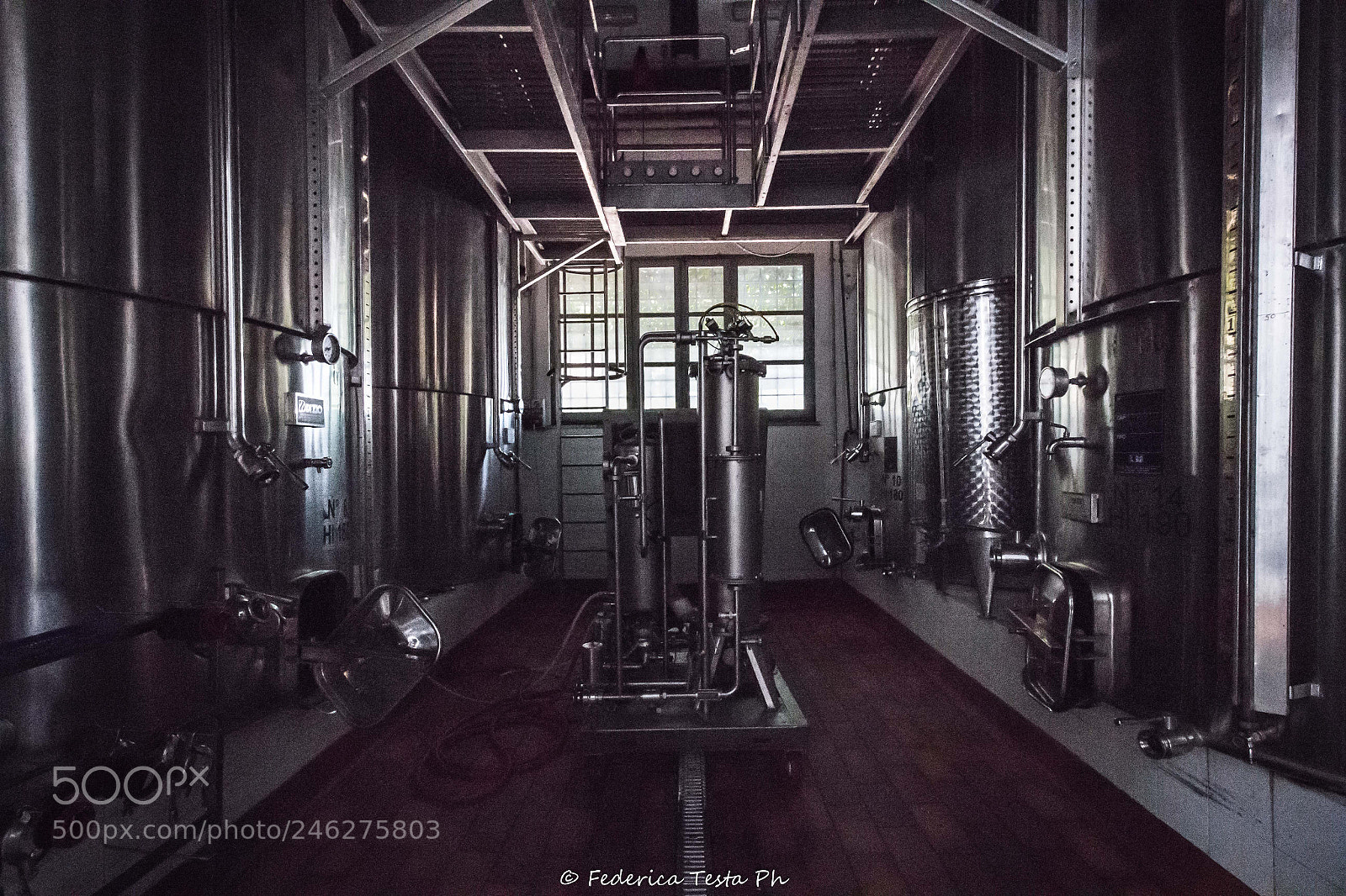 Canon EOS 700D (EOS Rebel T5i / EOS Kiss X7i) sample photo. Vinification - steel vats photography