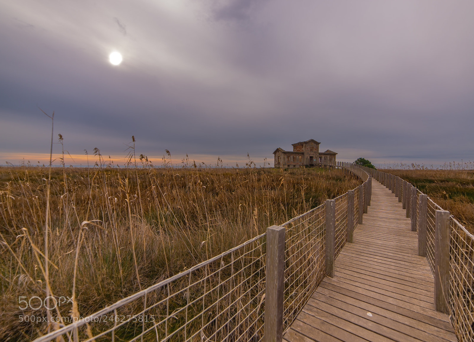 Nikon D610 sample photo. Casa del semaforo prat photography