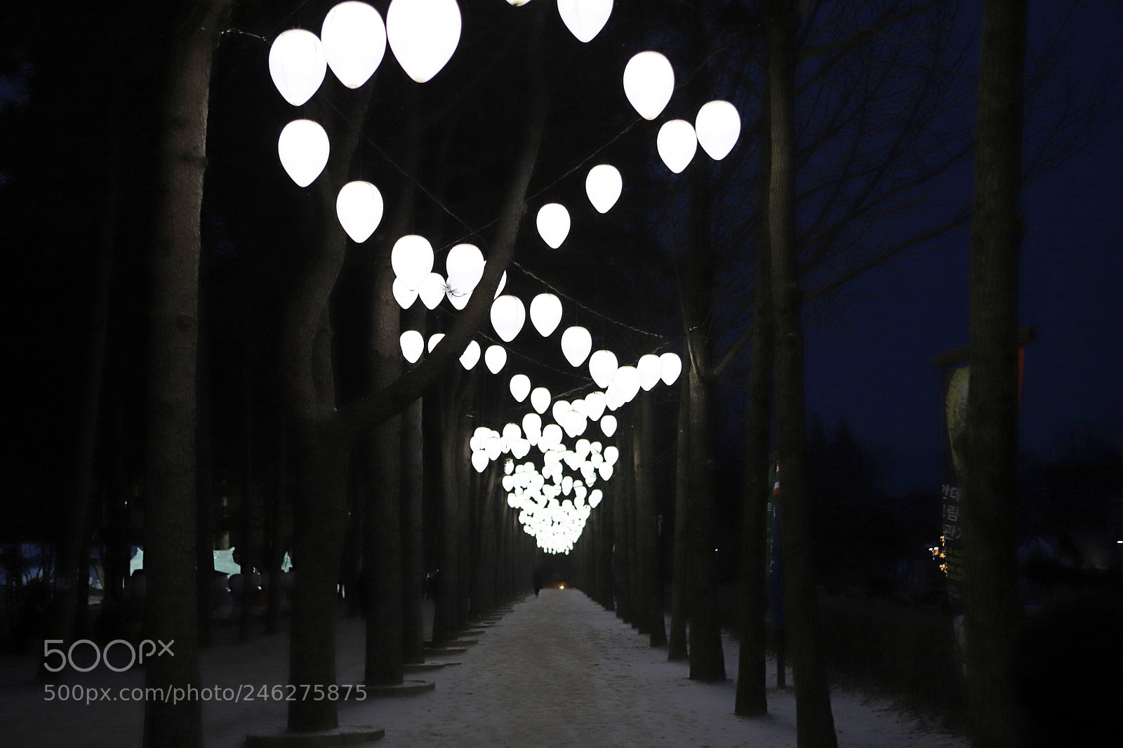 Canon EOS 6D Mark II sample photo. Street photography