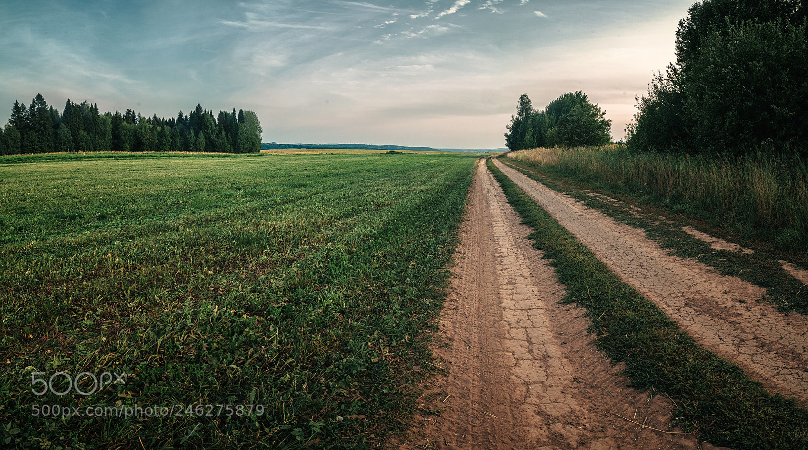 Nikon D7100 sample photo. Road in a field photography