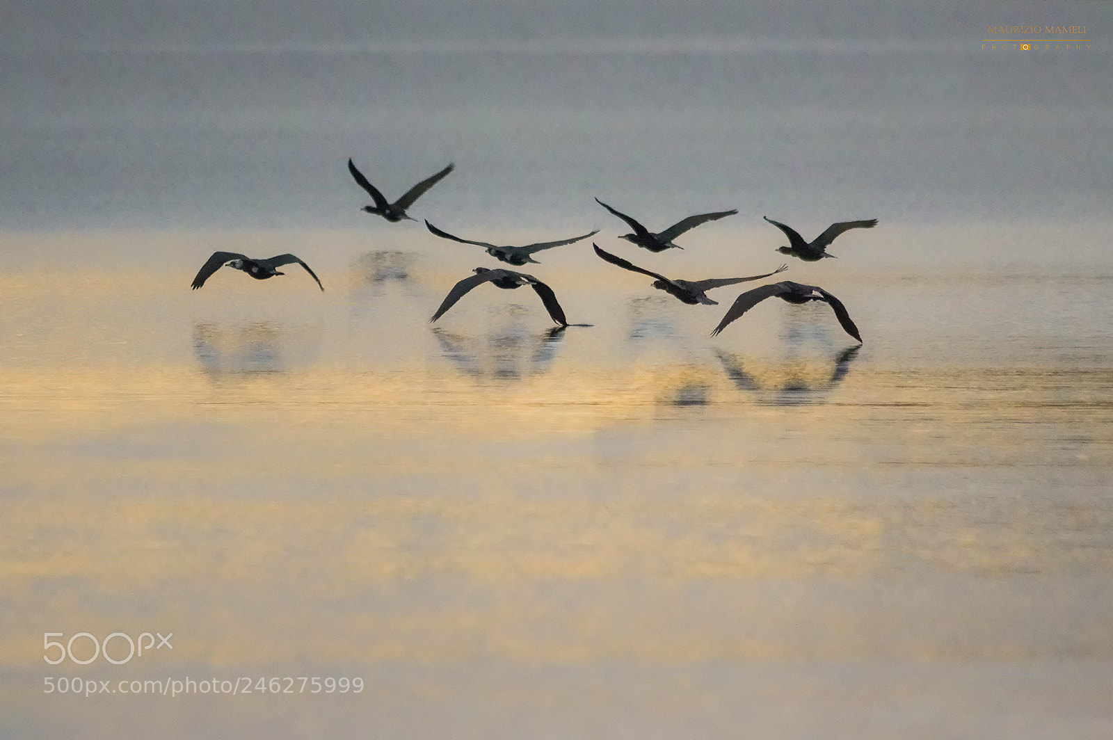 Pentax K-3 sample photo. The flight at dusk photography