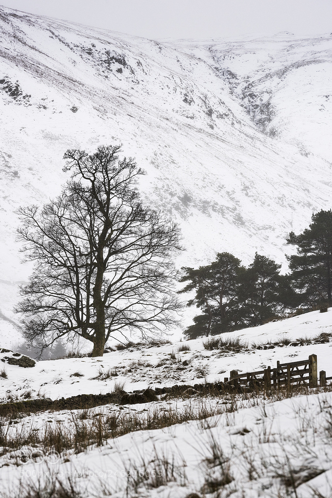 Nikon D810 sample photo. Snow thirlmere photography