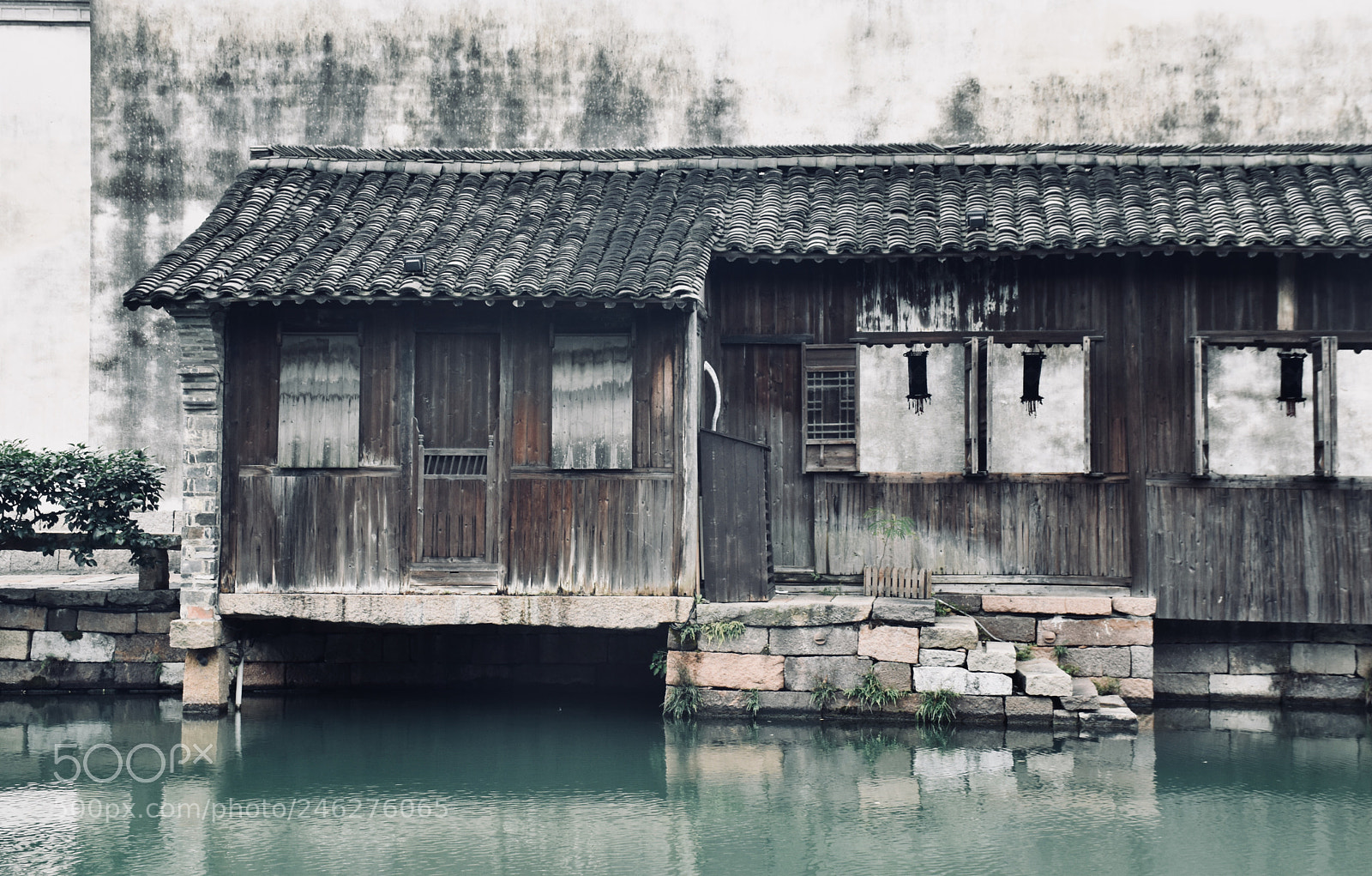 Nikon D5500 sample photo. Untitled photography