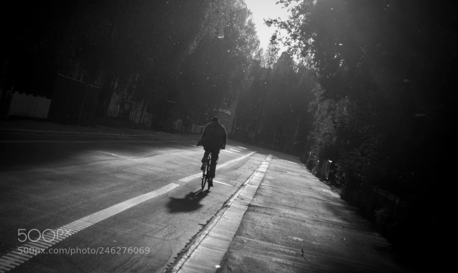 Canon EOS 600D (Rebel EOS T3i / EOS Kiss X5) sample photo. Lone rider photography